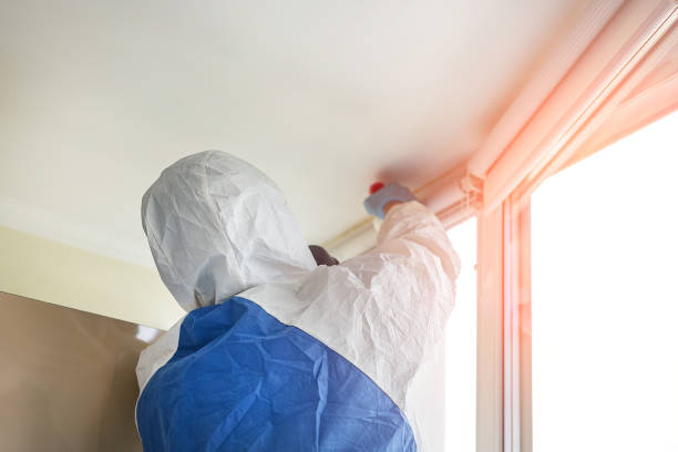 Why You Should Choose Our Mold Remediation Services in Fulshear, TX